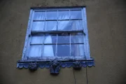 Window from the house.