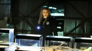 Ein Skorpionbiss an der Schulter des Opfers führt Morgan (Elisabeth Harnois) und Greg in die Lagerhalle des Insekten,- und Reptilien-Sammlers Kieran Clark. Ist er der Mörder von Lexi und der Entführer von Cara?