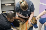 Dr. Blue listening to Rhett’s heartbeat