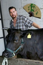 Vinzenz Grieshaber (Michael Sideris) hat in ein Kobe-Rind investiert. Für das Fleisch zahlen Liebhaber Unsummen. Als der Tierarzt bei der wertvollen Kuh Maul- und Klauenseuche verstellt und den Hof sperrt, entbrennt ein Privatkrieg.