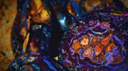 Opal up close.