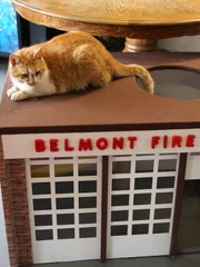 Flame is on top of a cat house.