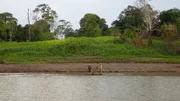 Großaufnahme von Bill McConnell und Grady Powell auf einem Floß am Ufer des Amazonas.