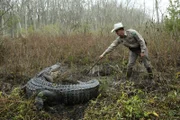 Everything's bigger in Texas, including the job of Texas Game Wardens who protect the Lone Star State's natural resources and police its 27 million citizens. This elite force patrols more than a quarter million square miles to protect and serve.