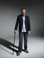 Dr. House (Hugh Laurie)