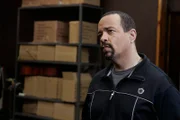 Ice-T as Odafin "Fin" Tutuola
