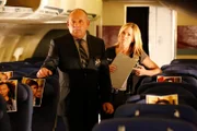 Paul Guilfoyle (Captain Jim Brass), Elisabeth Shue (Julie Finlay).