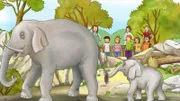 Ein Ausflugstag im Kindergarten führt Conni in den Zoo. Dort lernt Conni Wissenswertes über große und kleine Tiere.