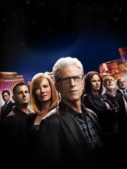 12. Staffel: Das CSI-Team (v.li.): Greg Sanders (Eric Szmanda), Nick Stokes (George Eads), Catherine Willows (Marg Helgenberger), D.B. Russell (Ted Danson), Sidle (Jorja Fox), Dr. Albert Robbins (Robert David Hall) und Captain Jim Brass (Paul Guilfoyle)