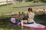 Shamrock paddle board testing