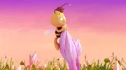 Willi würde gerne Pollen naschen.