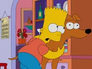 Der beste Freund des Menschen, der Hund, erhält auf einmal einen völlig neuen Status, als klar wird, dass sein Leben mehr wert ist als ein Menschenleben. Auch Bart (l.) hat mit dieser Wendung nicht gerechnet ...