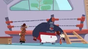 Der Gorilla steht unter Verdacht!