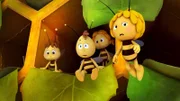 Es gibt kaum noch Platz im Bienenstock.