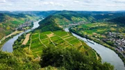 Seit zwölf Jahren arbeitet das Tierarztpaar zusammen in Bernkastel-Kues an der Mosel.
