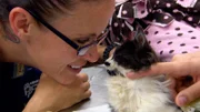 Shelly with Stanley the cat in the vet.