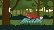 Ein Fuchs reist auf einem fliegenden Teppich durch den Wald und trifft viele andere Tiere.
