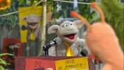 Wolle möchte die Möhre gelb streichen.