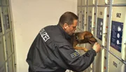 Rufus mit Polizeihauptmeister Henrik Sielaff bei einer Prüfung auf dem Hamburger Hauptbahnhof.