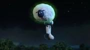 Können Schafe fliegen? In dieser Nacht ist alles möglich. Shirley bleib hier!