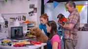 Wuffel, Angela (NN), Tess (Andrea Valls) und Opa Denis (Paul Ryan) betrachten die Bilder von Dackelhündin Penny.