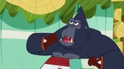 Gorilla beteuert seine Unschuld.