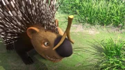 Ikki hat Schnupfen und das ist gefährlich. Denn jedes Mal wenn sie niest, fliegen Stacheln von ihrem Rücken. Die anderen Tiere probieren alles, um sie am Niesen zu hindern.