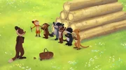 Die Kinder üben ihre Kunststücke für eine große Show im Wald.