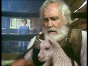 Anfangs will sich Heidis Großvater (Jason Robards) nicht um seine Enkelin kümmern. Heidi (Noley Thornton) gelingt es bald aber tatsächlich, das Herz des alten Mannes zu erobern...