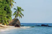 Weiße Sandstrände, tropische Wälder und türkisblaues Wasser, in dem sich exotische Fische tummeln: Das ist Silhouette Island, die drittgrößte Insel der Seychellen.