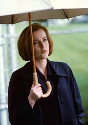 Dana Scully (Gillian Anderson)