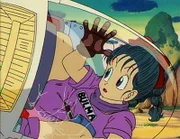 Das abenteuerlustige Mädchen Bulma und Son-Goku erleben auf ihrer Suche nach den Dragonballs einige Abenteuer..