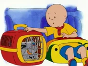 Caillou bringt Kater Gilbert zum Tierarzt.