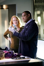 Ein Mann wurde verkohlt in den Überresten seines Heims gefunden, ein Selbstmord kann nicht ausgeschlossen werden. Ray Langston (Laurence Fishburne) und Catherine (Marg Helgenberger) kommen allerdings schnell zu einem anderen Ergebnis...