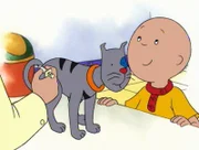 Caillou streichelt den ängstlichen Kater Gilbert, der große Angst vorm Tierarzt hat.