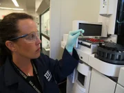 Washington, DC USA: Testing PCP purity at the DEA Quanitco forensic lab.