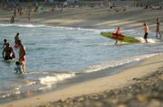 Dank riesiger Hai-Barrieren vor der Küste können die Badegäste ihre Zeit am australischen Coogee-Beach sorgenfrei genießen.