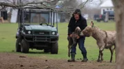 Michelle C. carrying newborn donkey to corral