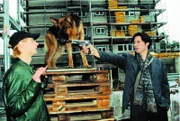 Kommissar Moser (Tobias Moretti, r.) und Rex stellen den Killer Kiprov (Victor Schefé, l.) ...