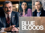 (13. Staffel)