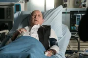 James Spader (Raymond 'Red' Reddington).