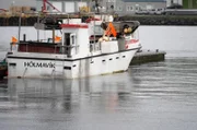Bis nach Island wagten sich die Basken im 17. Jahrhundert für den Walfang vor ...