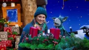 Fidis erster Advent 1