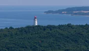 DIE NORDSTORY - MECKLENBURG-VORPOMMERN VON OBEN, Dornbusch