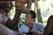 Dr. Albert Lin nimmt an einer traditionellen Sakau-Trinkzeremonie auf der Insel Pohnpei, Mikronesien, teil. Sakau ist ein psychoaktives rituelles Getränk, das fester Bestandteil der Kultur und Identität von Pohnpei ist.