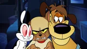 v.li.: Bunnicula, Chester, Harold