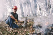 Feuer mit Feuer bekämpfen: Dirk Steffens zeigt, wie mit absichtlich gelegten Feuern verheerende Wildfeuer verhindert werden können.