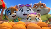 Lampo, Milady, Pilou und Metti freuen sich über die Glückskekse, die Neko mitgebracht hat.