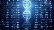 Ein DNA-Strang   +++