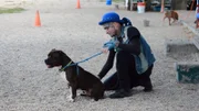 Dogs getting ready for dog bowl.